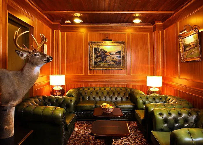 瓦罗尼亚酒店 4* 瓦萨