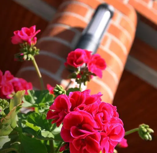 酒店 瓦罗尼亚酒店