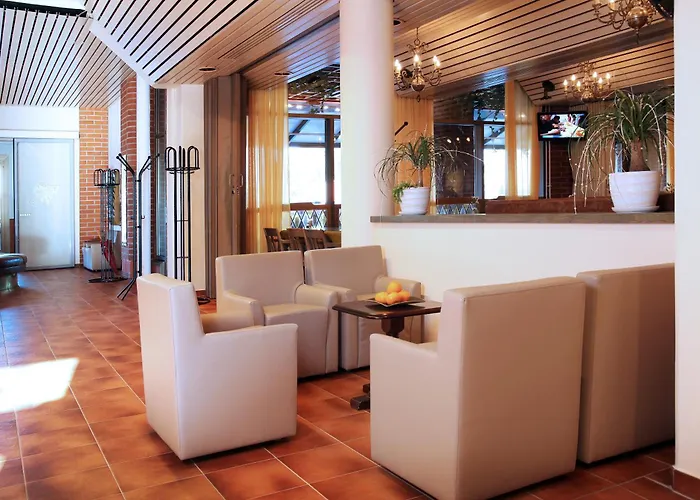 瓦罗尼亚酒店 4* 瓦萨